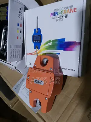 Mini Crane Scale 300KG