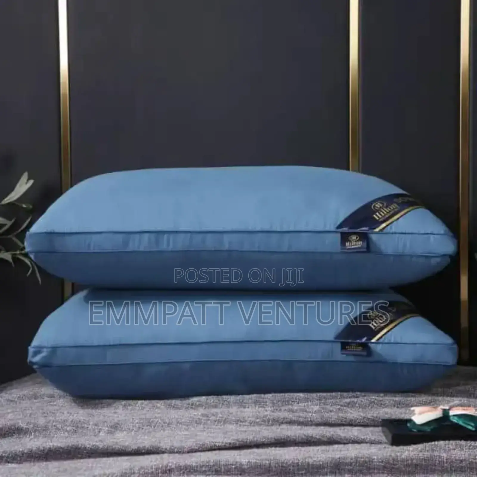 2 Executive Pillows