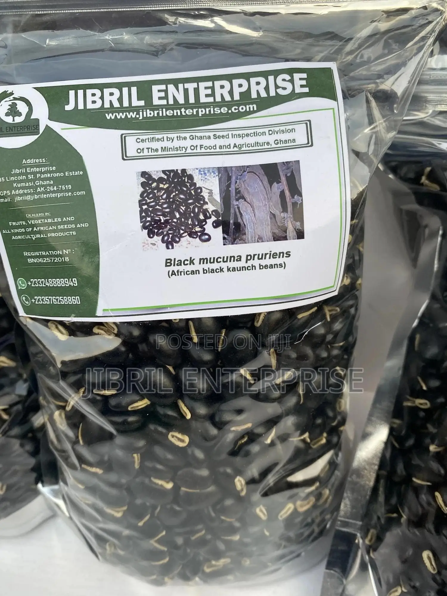 Black Mucuna Pruriens (Black Velvet Beans)