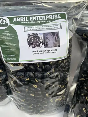 Black Mucuna Pruriens (Black Velvet Beans)