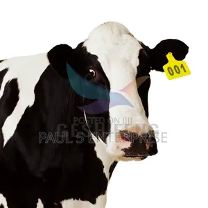 100pics Ear Tag for Cow, Goats and Pig Wholesale and Retail