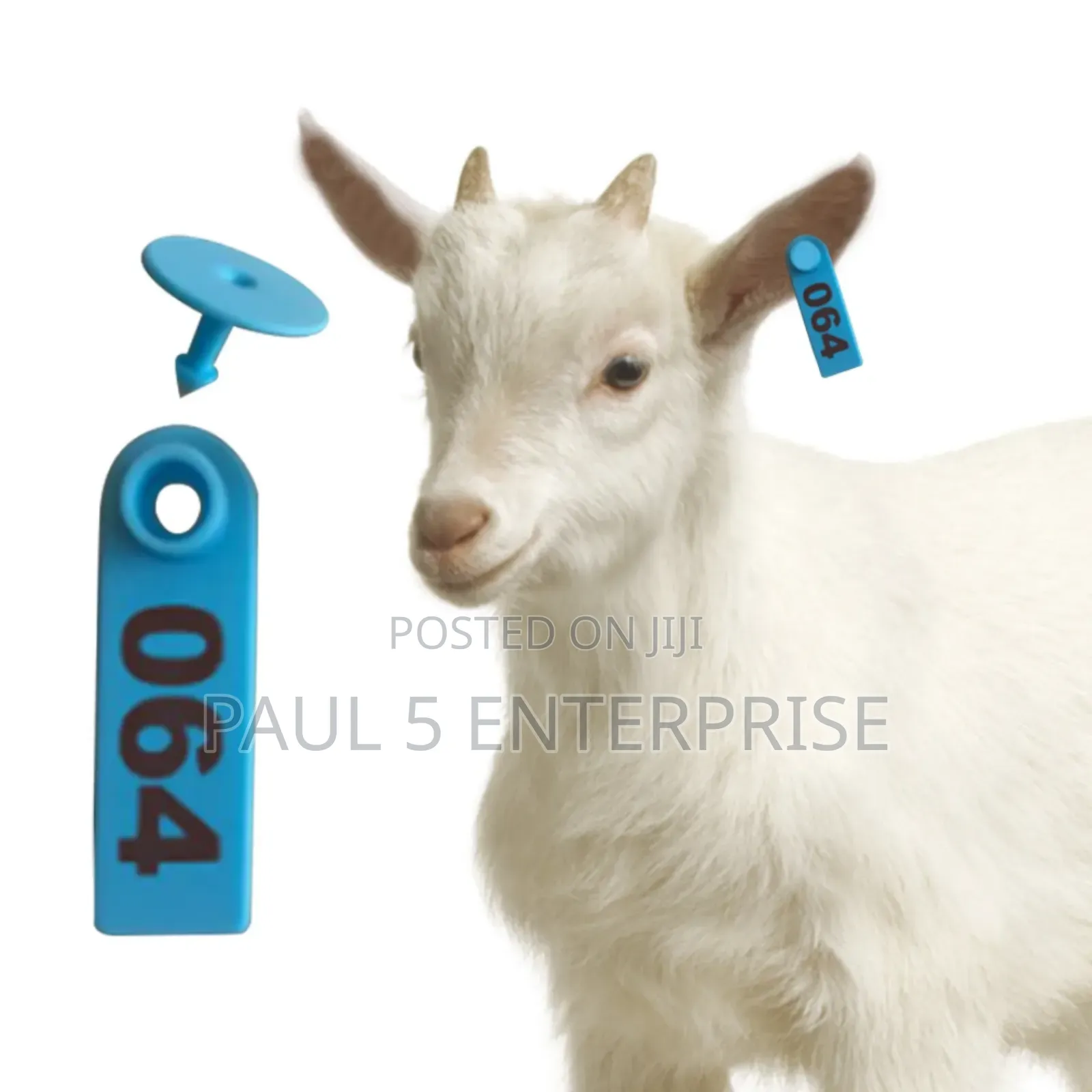 100pics Ear Tag for Cow, Goats and Pig Wholesale and Retail