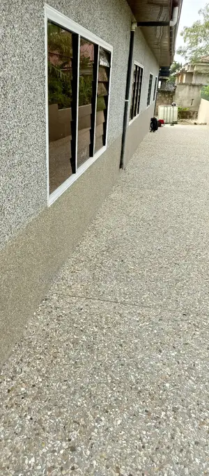 Terrazzo Floors and Walls
