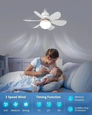 Best Portable Fan Light With Remote