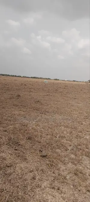 Secure, Registered,And Litigation Free Lands for Sale