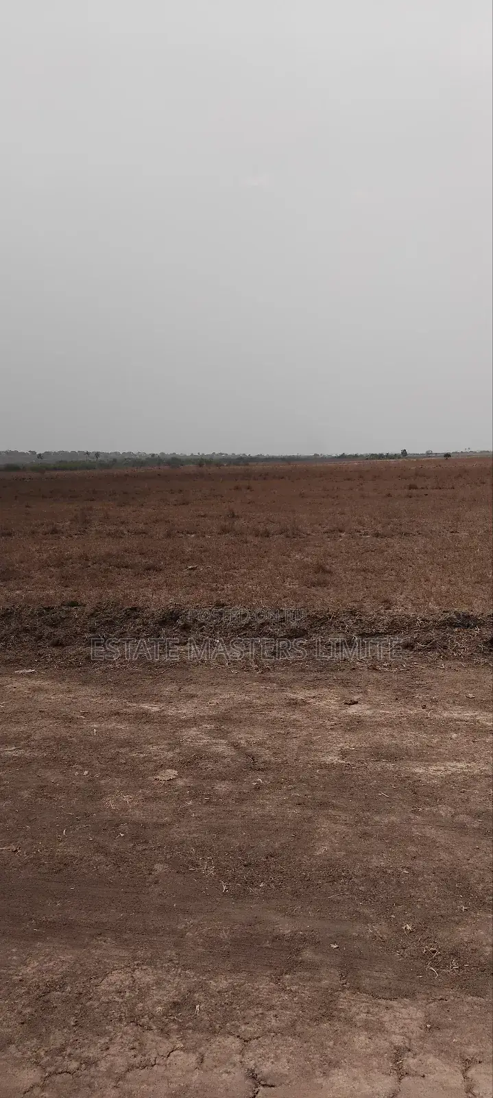 Crown Your Hustle With a Plot of Land at Coastal Park