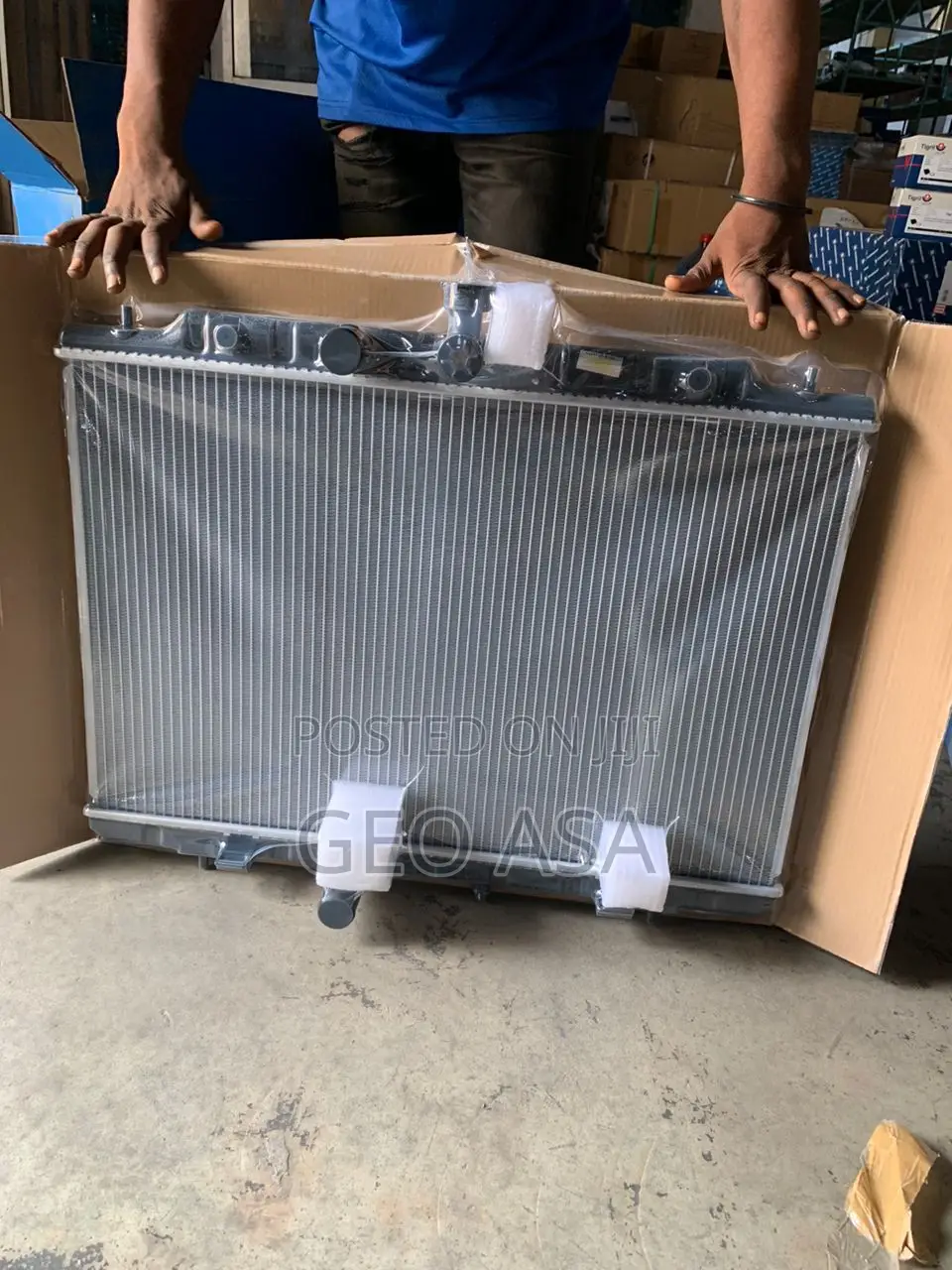 Rogue Radiator