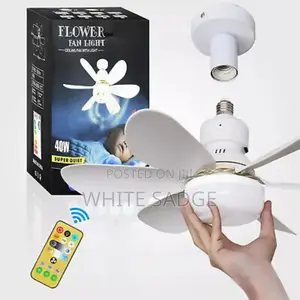E27 Portable Fan Light 3color With Remote