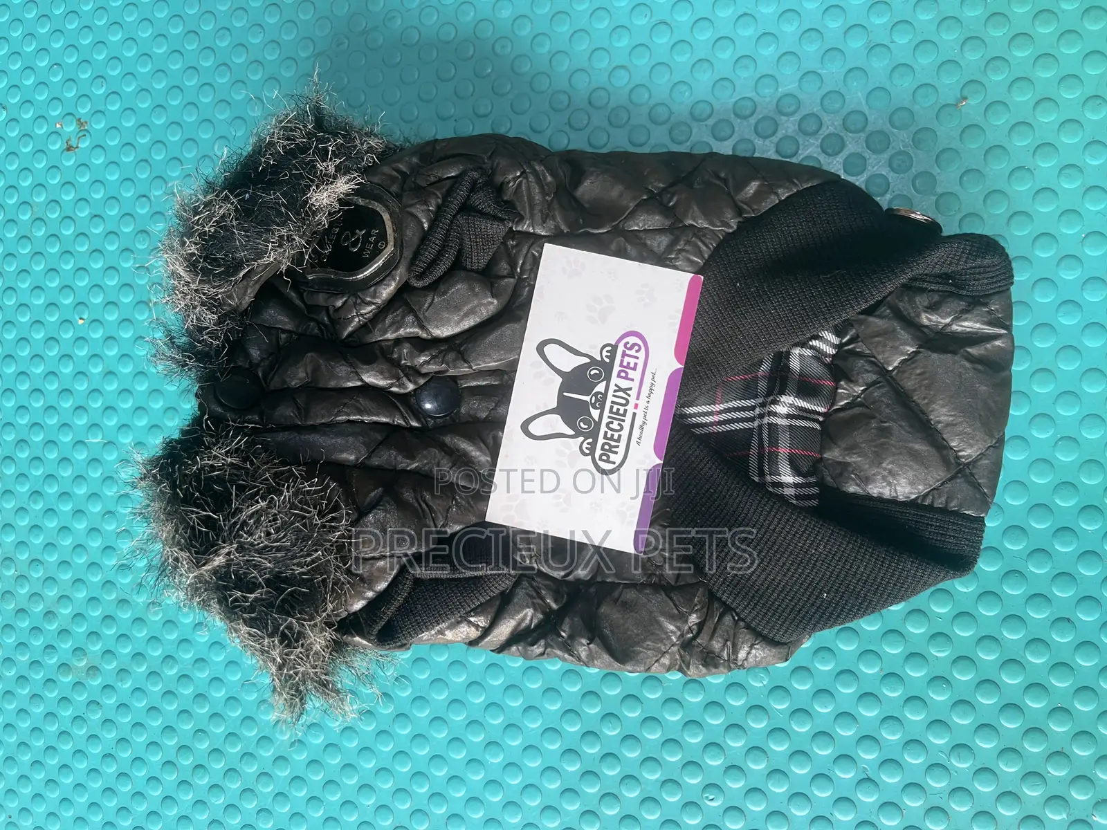 Toy Dog Clothing- New Stock -2025-000051000
