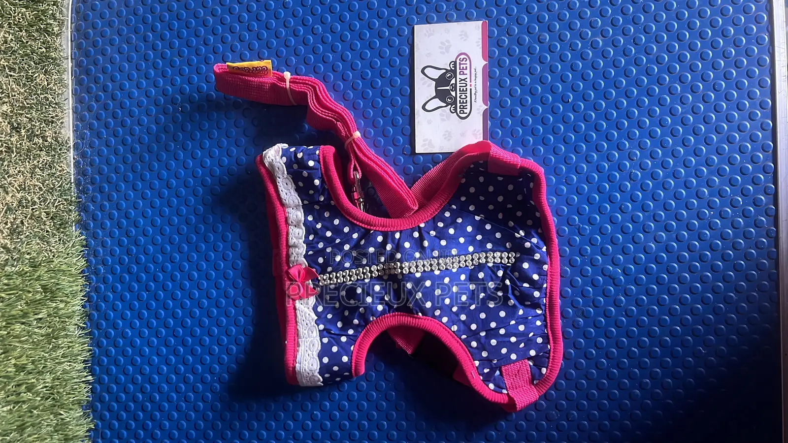 Toy Dog Clothing- New Stock -2025-0610000