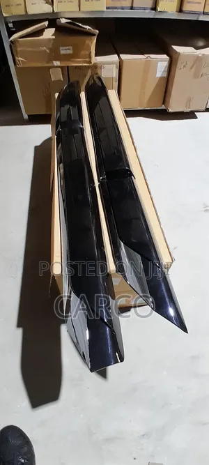 LC300 Side Moulding Original