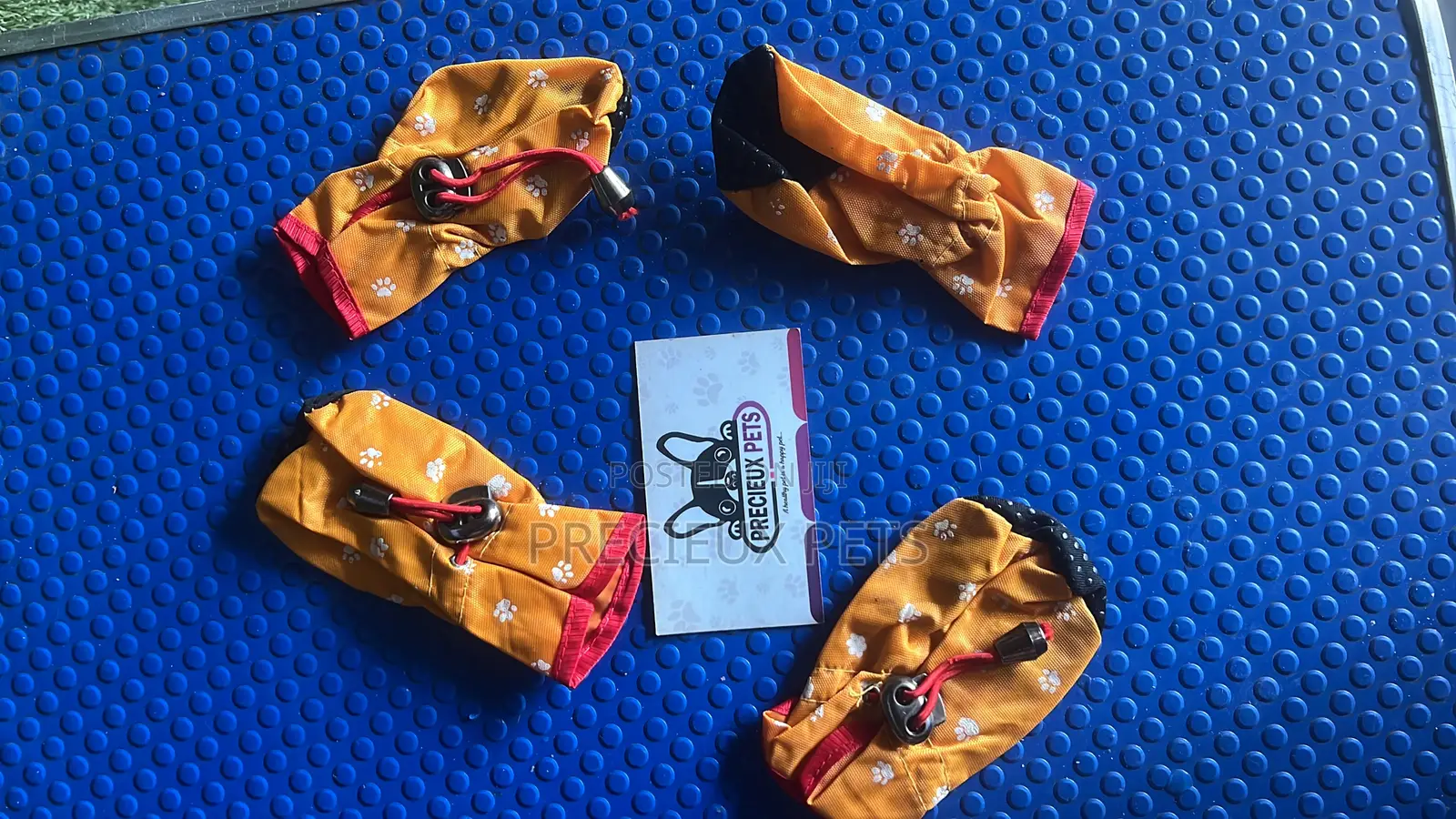 Shoes for Toy Dogs -Adolescent
