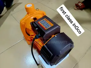 Water You Waiting for 0.5hp Submersible Ingco Water Pump Jap