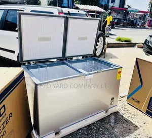 Excellent Cooling Performance Nasco 400L Two Doors Freezer