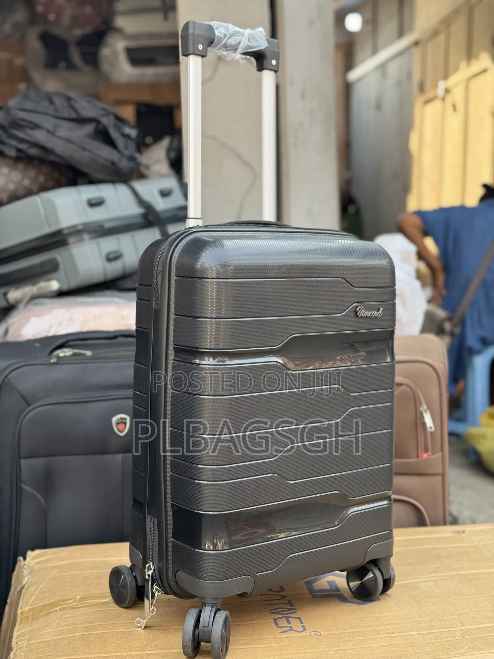 Small Size 19 Inches Trolley Traveling Bag at Plbagsgh