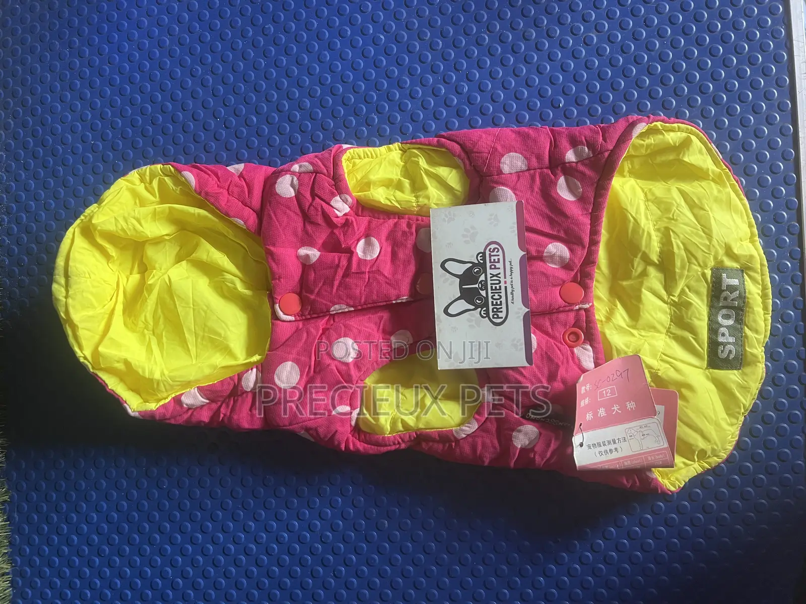 Toy Dog Clothing- New Stock -2025-00064000