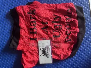 Toy Dog Clothing- New Stock -2025-071-0001