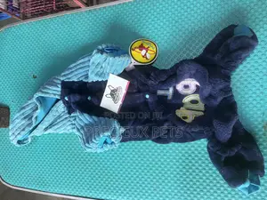 Toy Dog Clothing- New Stock -2025-0 3784400