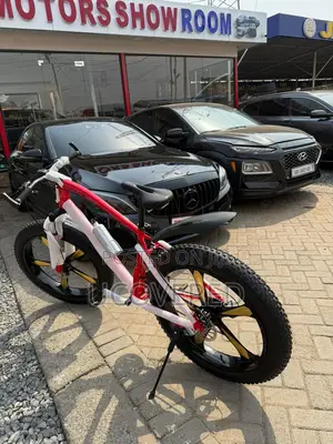 High Quality Customised Fat Bikes