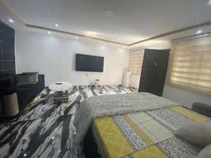 Furnished 1bdrm Apartment in Dzorwulu for rent