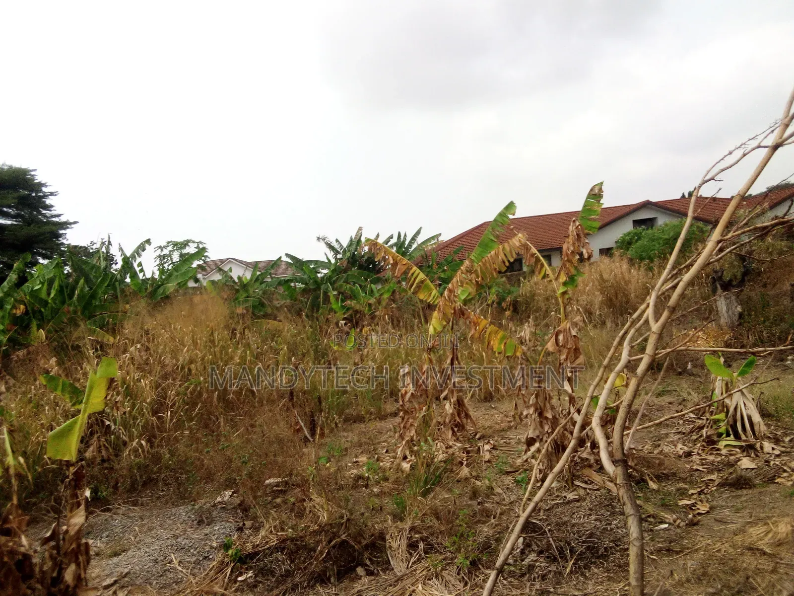 First- Class Land at Ajiringanor