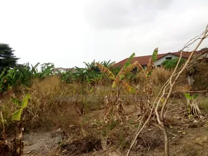 First- Class Land at Ajiringanor