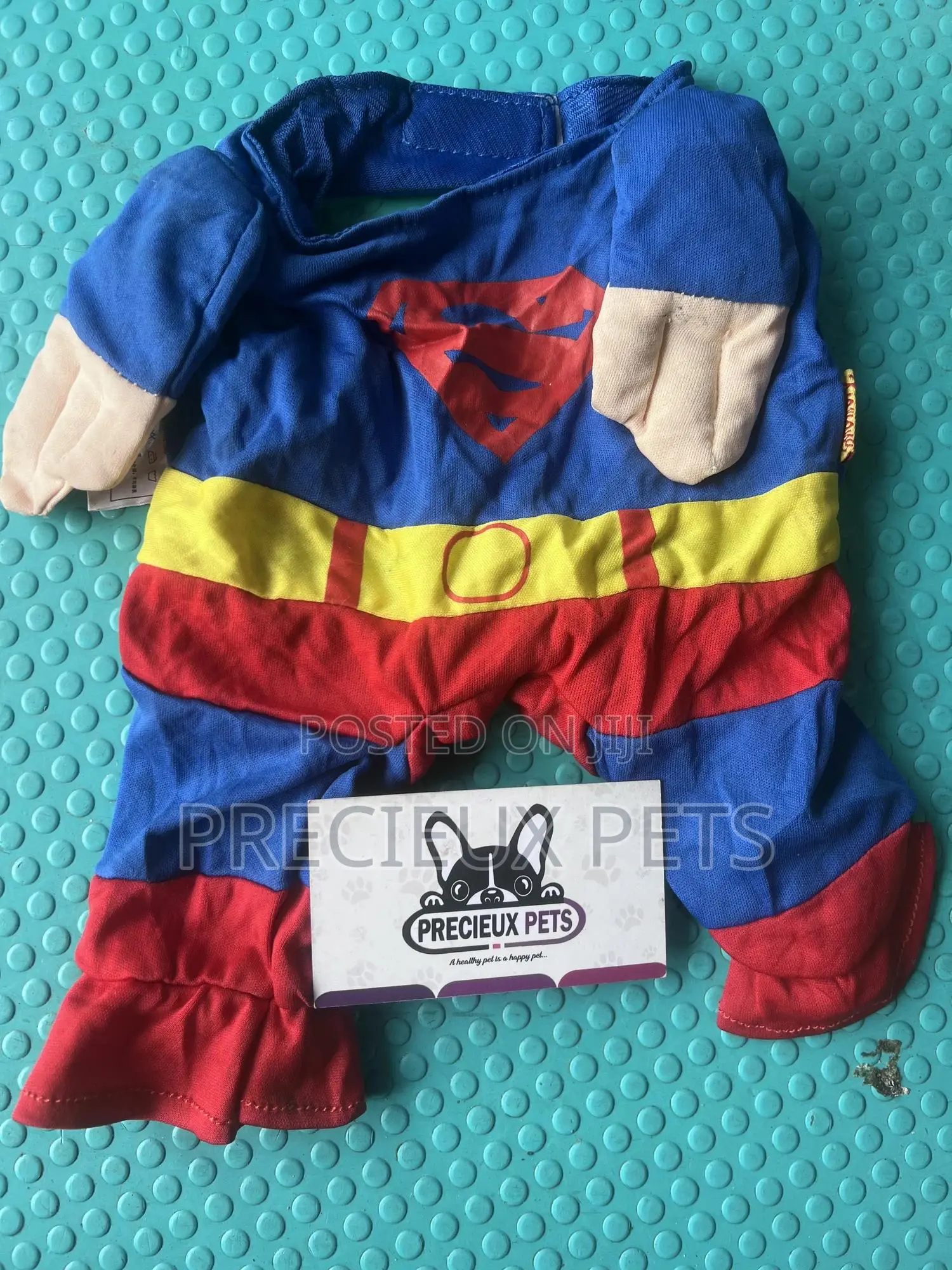 Toy Dog Clothing- New Stock -2025-0 00230200