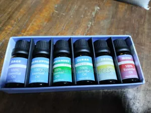 High Scented Flavor Essential Oil