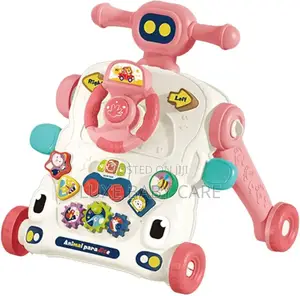 Multifunctional Activity Push Walker