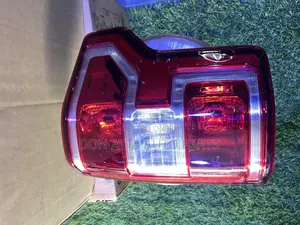 Ford F150 2009-2014 Tail Light Normal