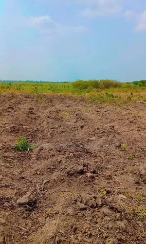 Invest in an Industrial Land at Tsopoli