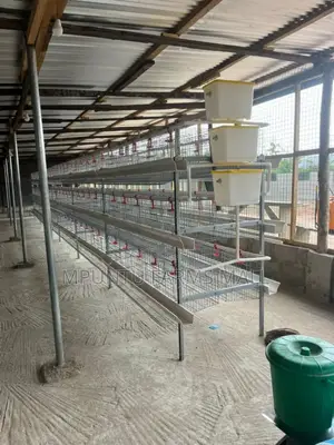 Poultry Battery Cage