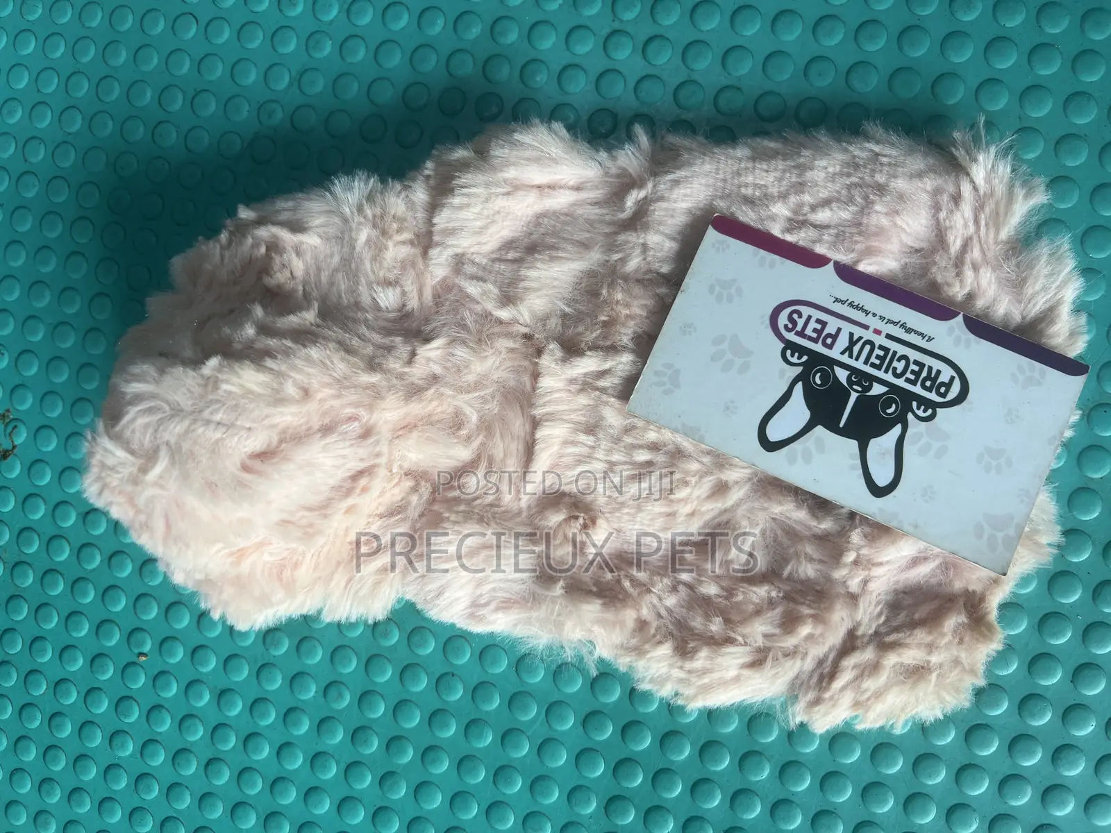 Toy Dog Clothing- New Stock -2025-0 0836282