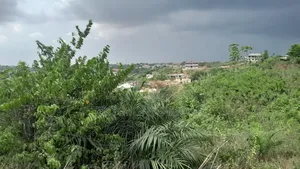 Plot for Sale at Palm Lands