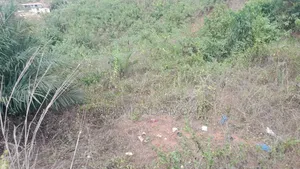 Plot for Sale at Palm Lands