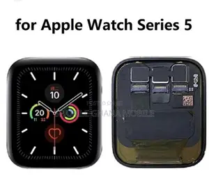 Apple Watch Series 5 Icloud Screen