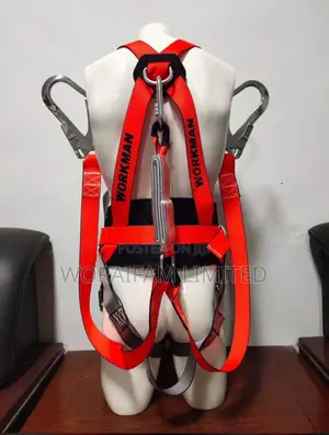 Body Harness Workman
