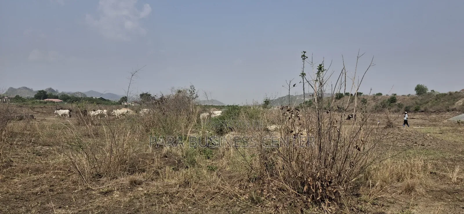 Secured Half Plot for Sale at Shai Hills