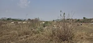 Secured Half Plot for Sale at Shai Hills