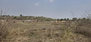 Secured Half Plot for Sale at Shai Hills