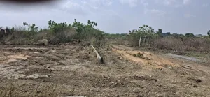 Secured Half Plot for Sale at Shai Hills