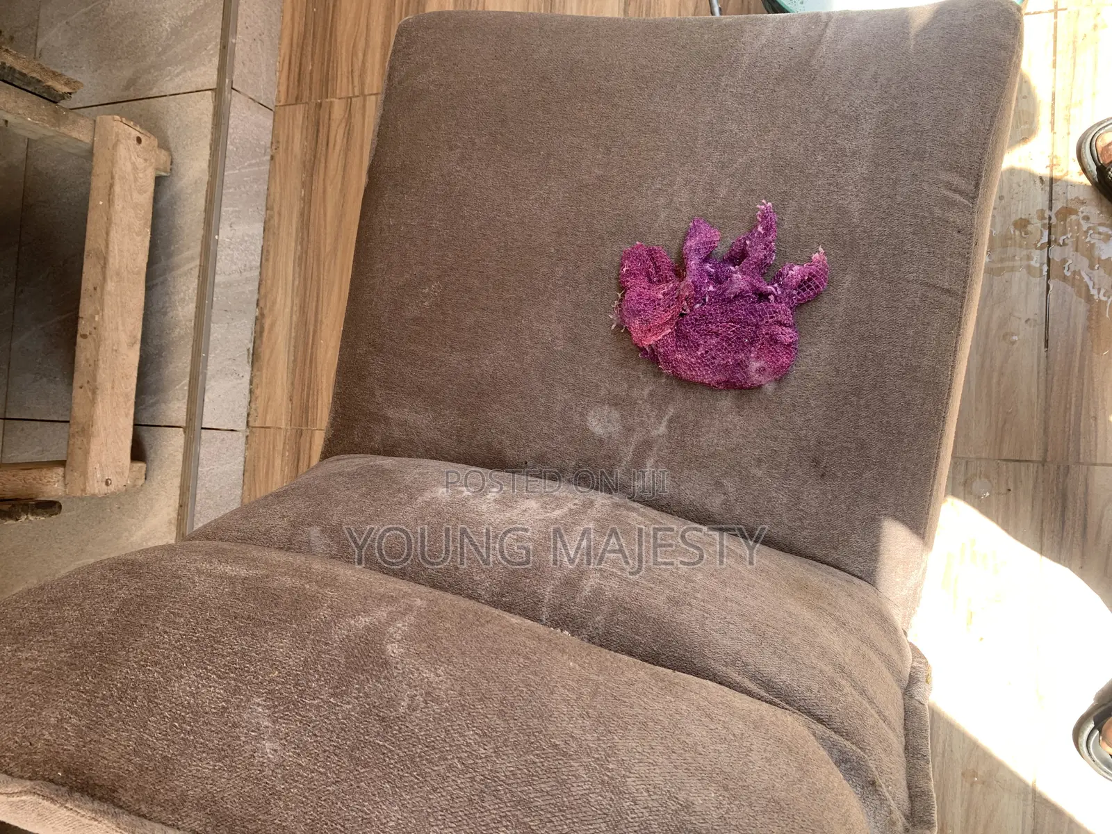 Sofa and Bed Cleaning Services
