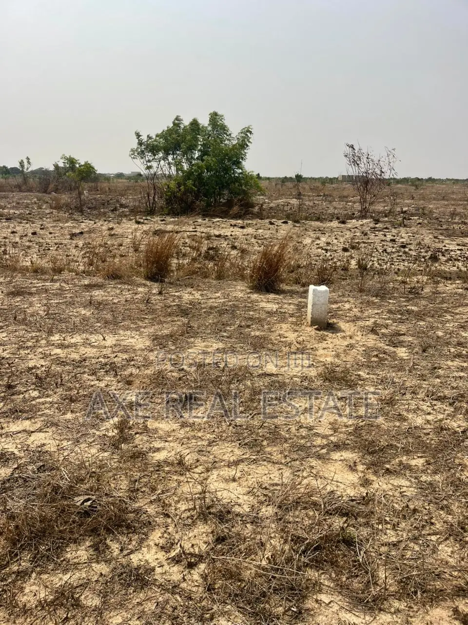 Promotional Prices on Lands With Free Documents