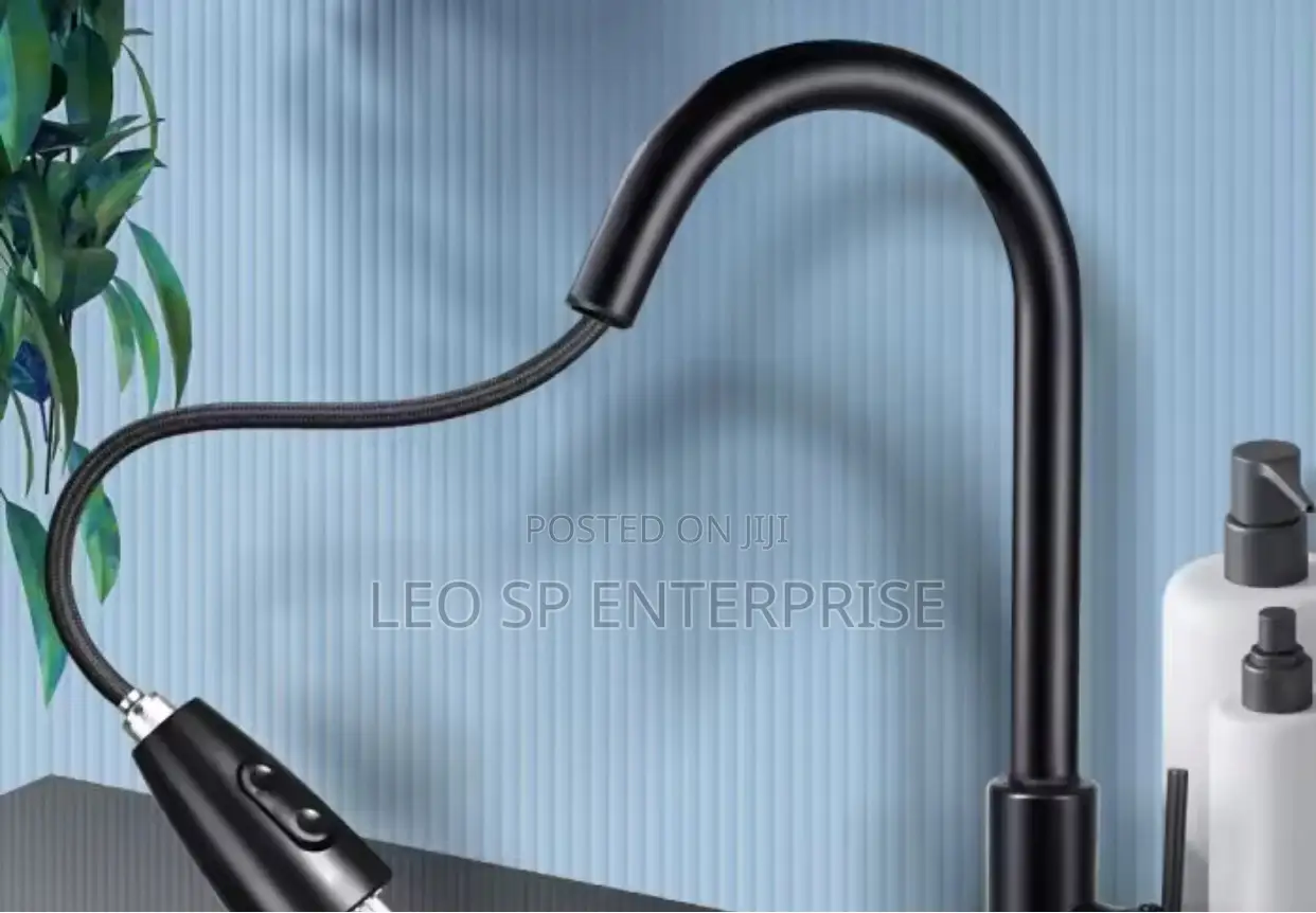 Pull Out Kitchen Sink Faucet
