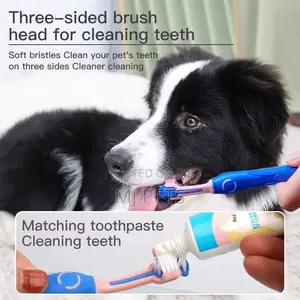 Sloppup Dental Care Kit for Pets