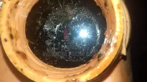 Photo - Raw and Unprocessed Natural Honey - 100% Natural