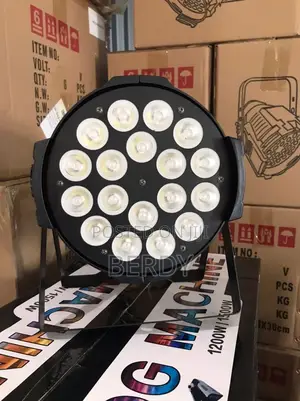 10 Watt X 18 Led Par Light