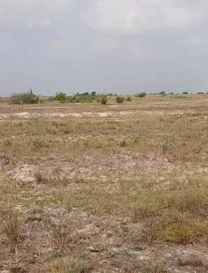 Build With Peace in an Incredible Environment