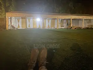 30x70ft Zappycanopy
