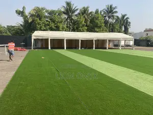 30x70ft Zappycanopy